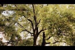 [eu e ela] este domingo